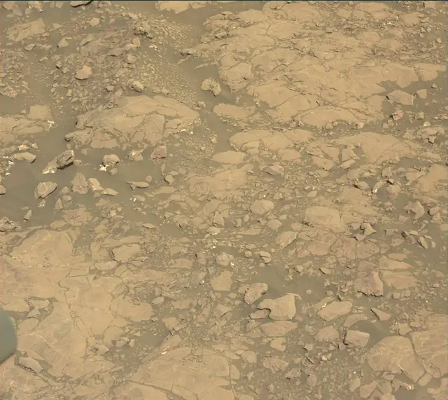 Sol 2007: Mast Camera (Mastcam)