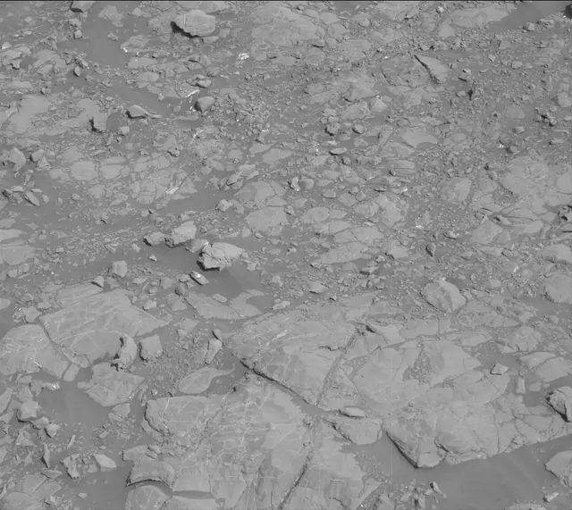 Sol 2007: Mast Camera (Mastcam)