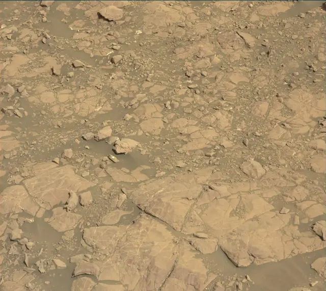 Sol 2007: Mast Camera (Mastcam)