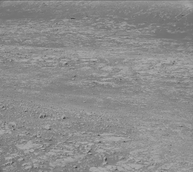Sol 2007: Mast Camera (Mastcam)