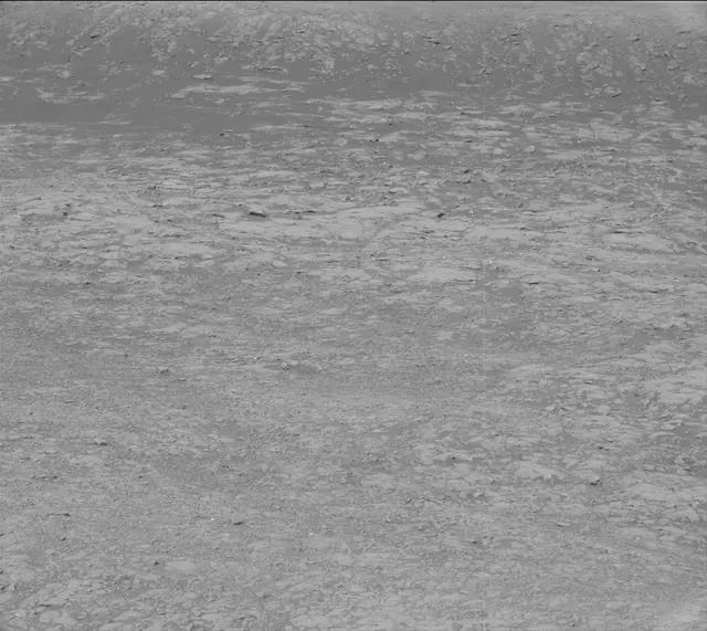 Sol 2007: Mast Camera (Mastcam)