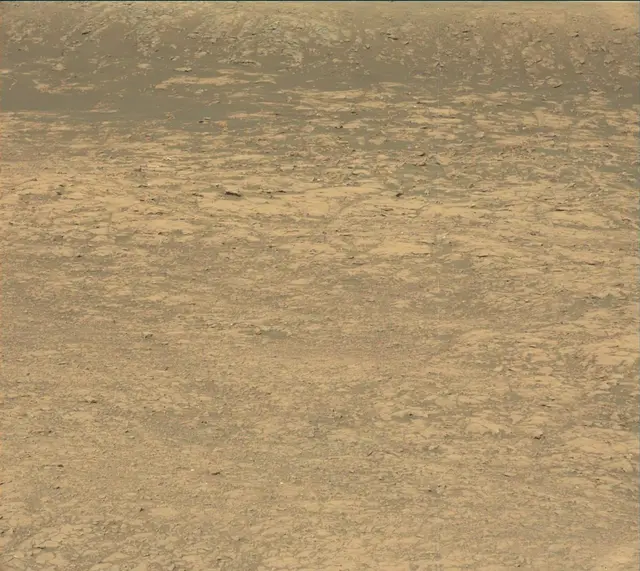 Sol 2007: Mast Camera (Mastcam)
