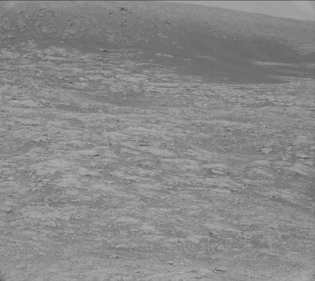 Sol 2007: Mast Camera (Mastcam)