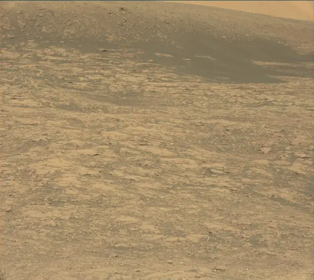 Sol 2007: Mast Camera (Mastcam)