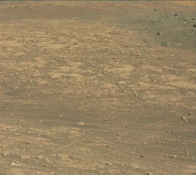 Sol 2007: Mast Camera (Mastcam)