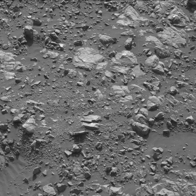 Sol 2007: Mast Camera (Mastcam)