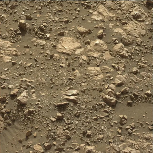 Sol 2007: Mast Camera (Mastcam)
