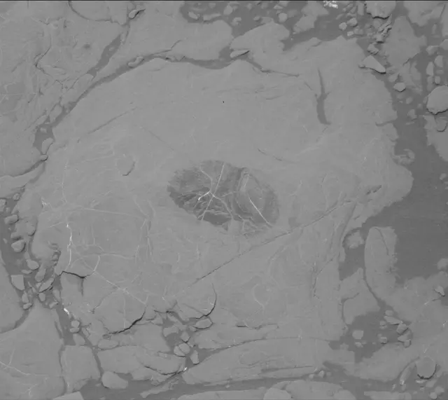 Sol 2007: Mast Camera (Mastcam)