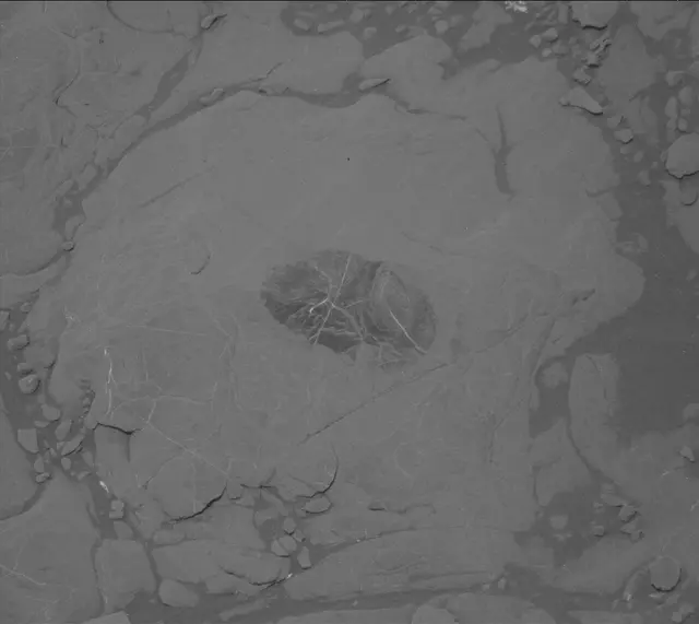 Sol 2007: Mast Camera (Mastcam)