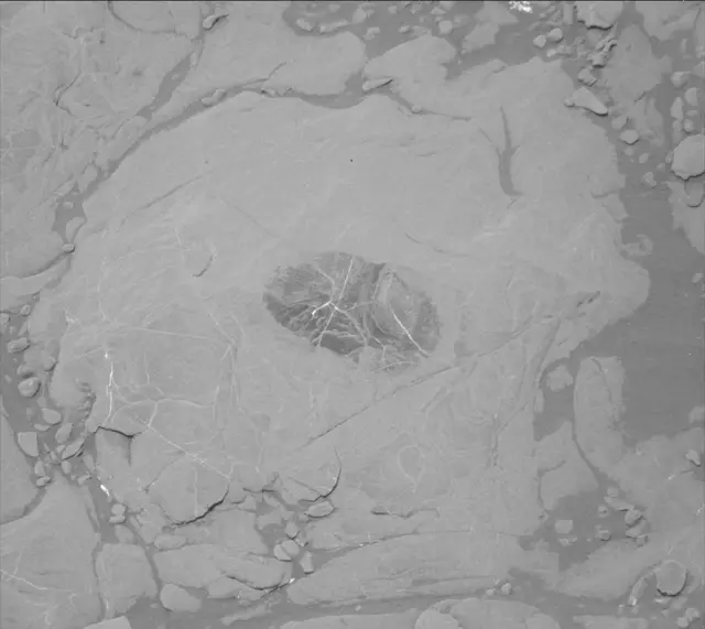 Sol 2007: Mast Camera (Mastcam)