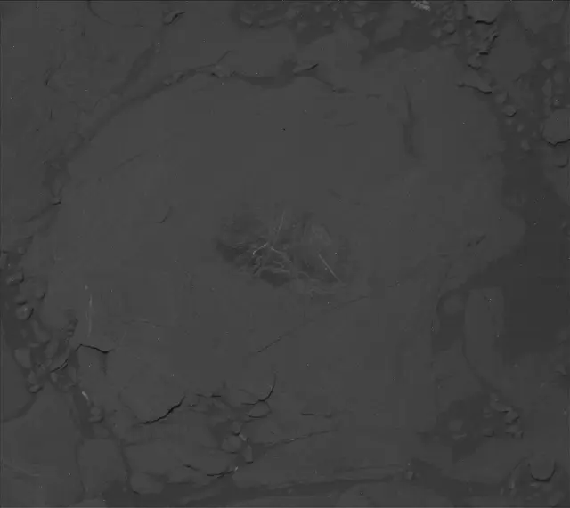 Sol 2007: Mast Camera (Mastcam)