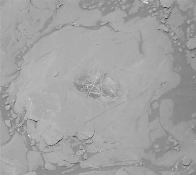 Sol 2007: Mast Camera (Mastcam)