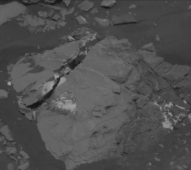 Sol 2007: Mast Camera (Mastcam)
