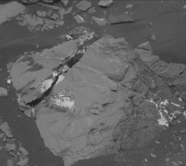Sol 2007: Mast Camera (Mastcam)