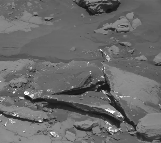 Sol 2007: Mast Camera (Mastcam)