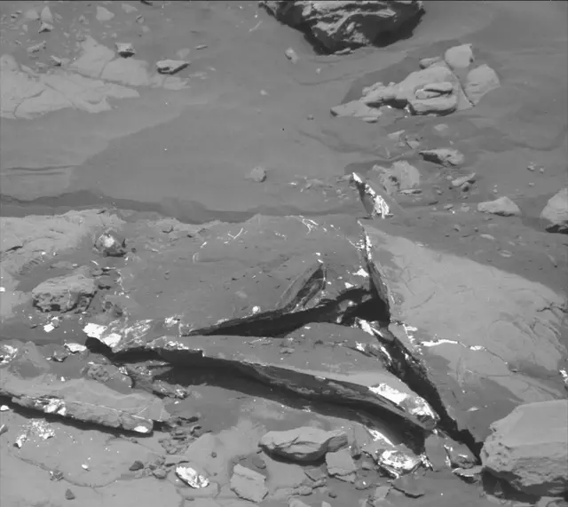 Sol 2007: Mast Camera (Mastcam)
