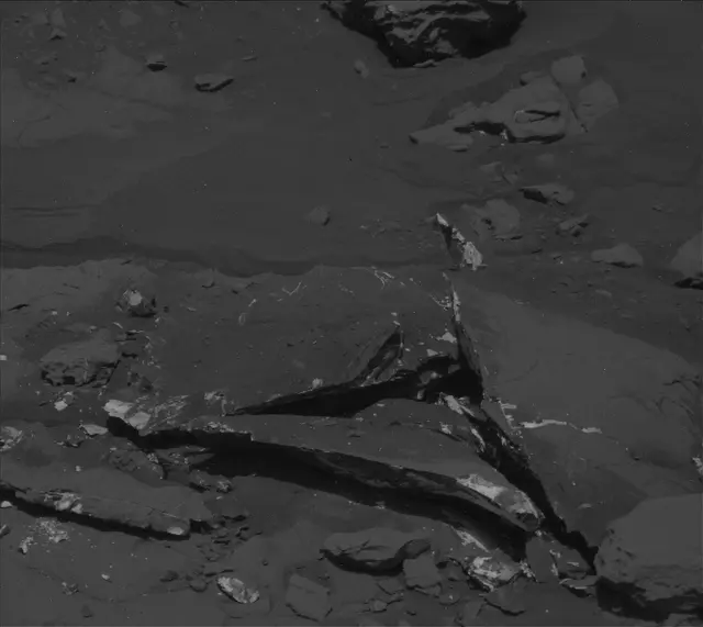 Sol 2007: Mast Camera (Mastcam)