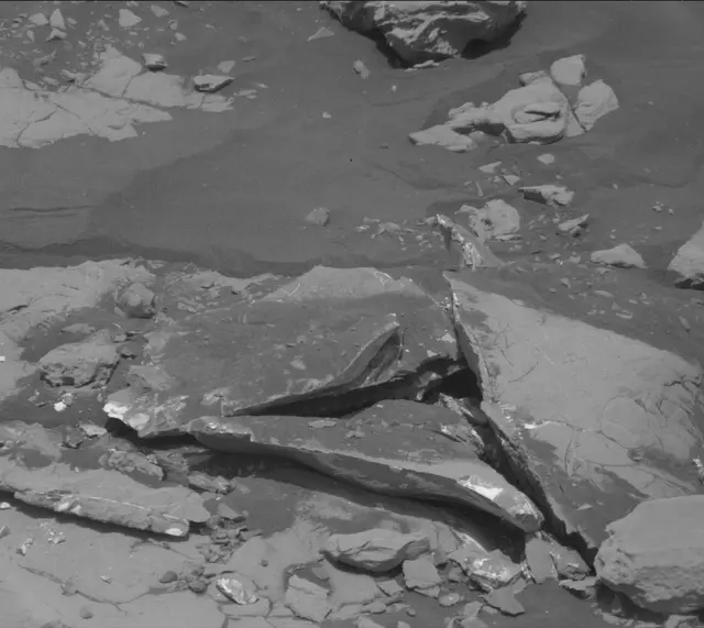 Sol 2007: Mast Camera (Mastcam)