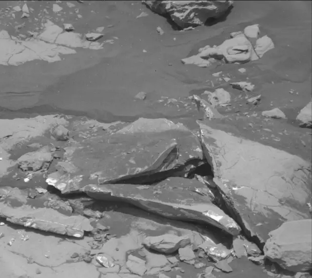 Sol 2007: Mast Camera (Mastcam)