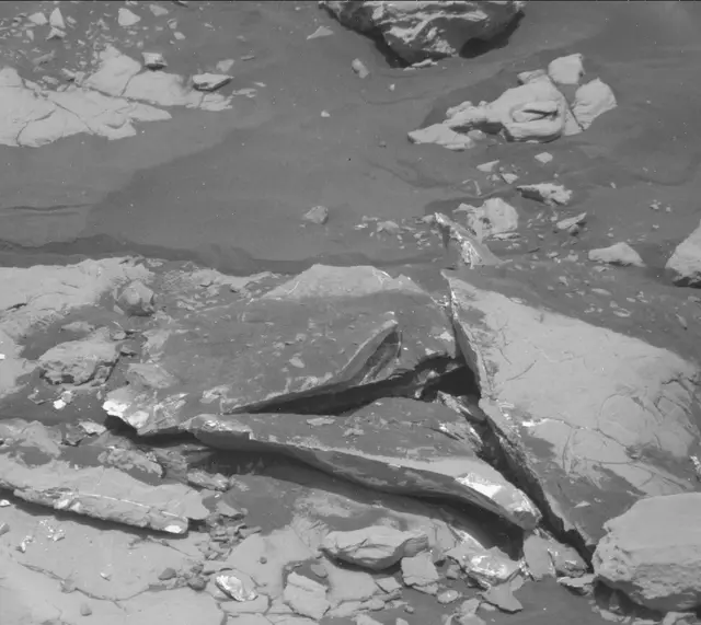 Sol 2007: Mast Camera (Mastcam)