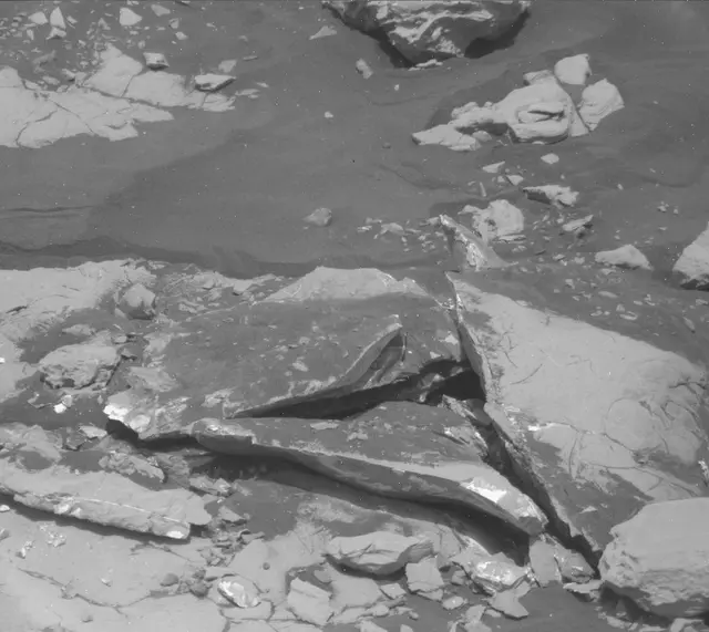 Sol 2007: Mast Camera (Mastcam)
