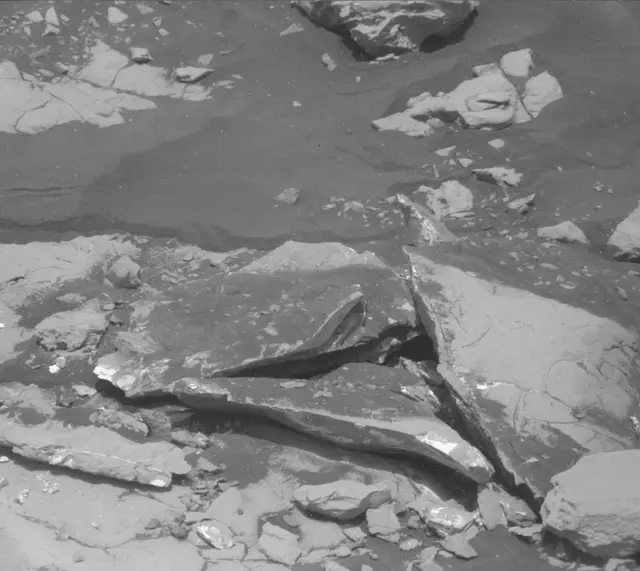 Sol 2007: Mast Camera (Mastcam)