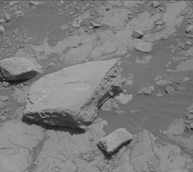 Sol 2007: Mast Camera (Mastcam)