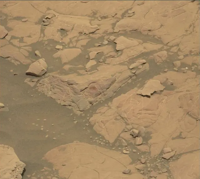 Sol 2007: Mast Camera (Mastcam)