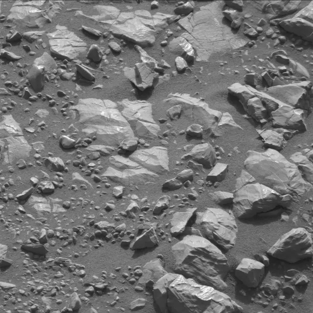 Sol 2007: Mast Camera (Mastcam)