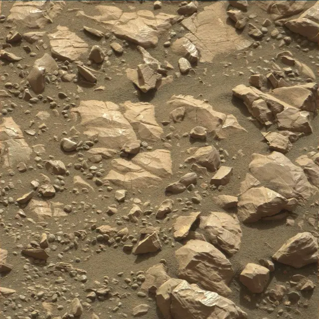 Sol 2007: Mast Camera (Mastcam)