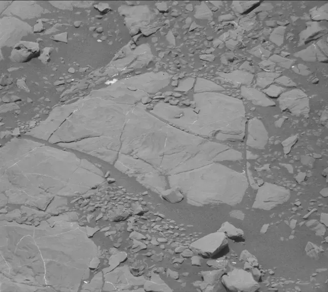 Sol 2008: Mast Camera (Mastcam)