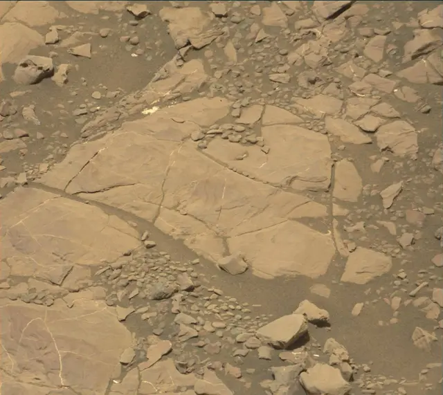 Sol 2008: Mast Camera (Mastcam)