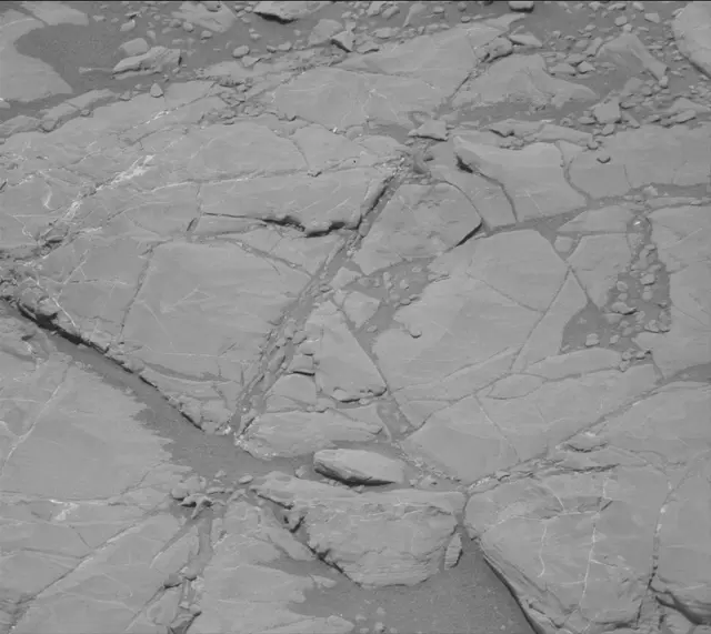 Sol 2008: Mast Camera (Mastcam)
