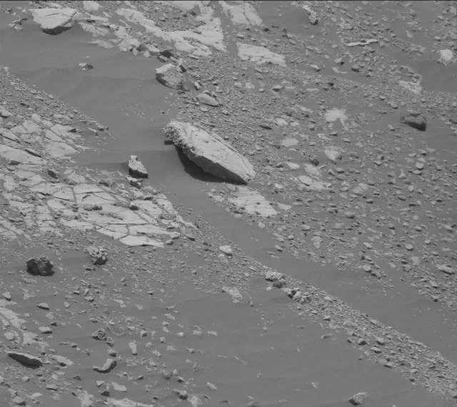 Sol 2008: Mast Camera (Mastcam)