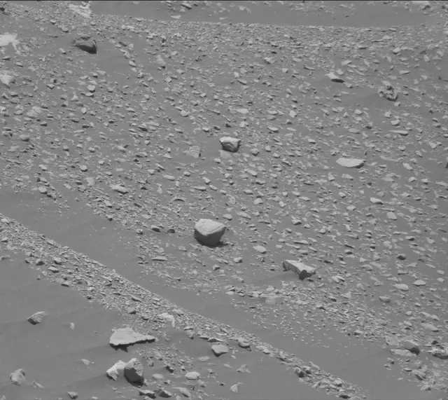 Sol 2008: Mast Camera (Mastcam)