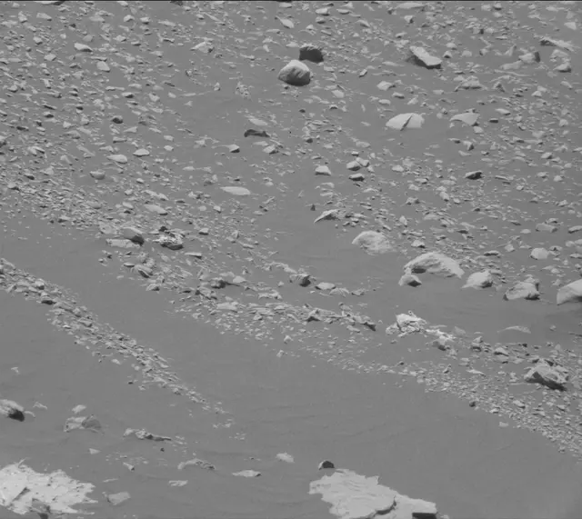 Sol 2008: Mast Camera (Mastcam)