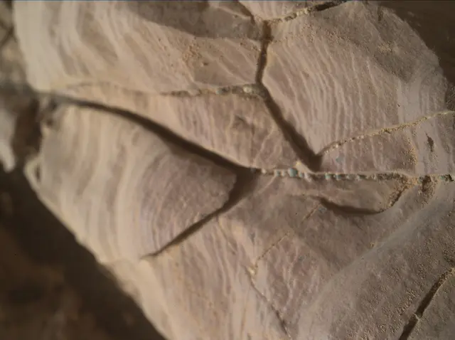 Sol 2008: Mars Hand Lens Imager (MAHLI)