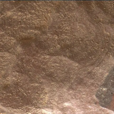 Sol 2008: Mars Hand Lens Imager (MAHLI)