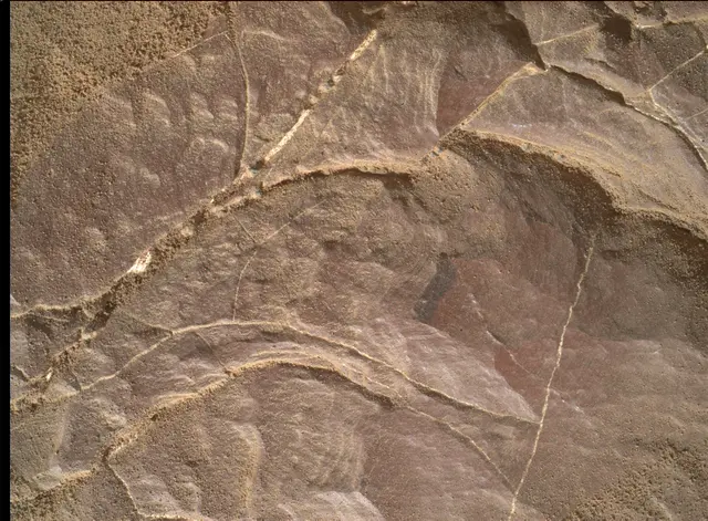 Sol 2008: Mars Hand Lens Imager (MAHLI)