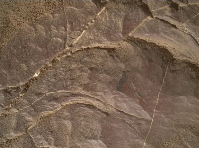Sol 2008: Mars Hand Lens Imager (MAHLI)