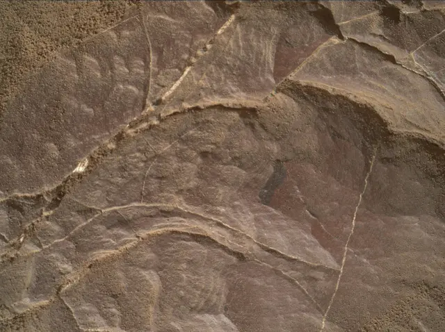 Sol 2008: Mars Hand Lens Imager (MAHLI)