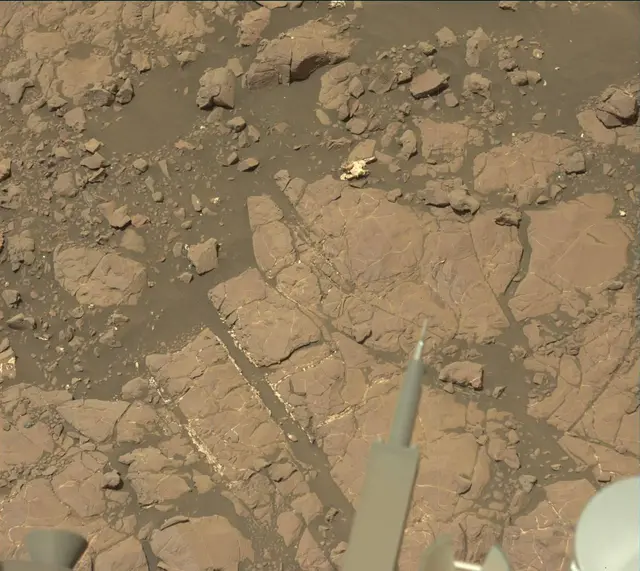 Sol 2009: Mast Camera (Mastcam)