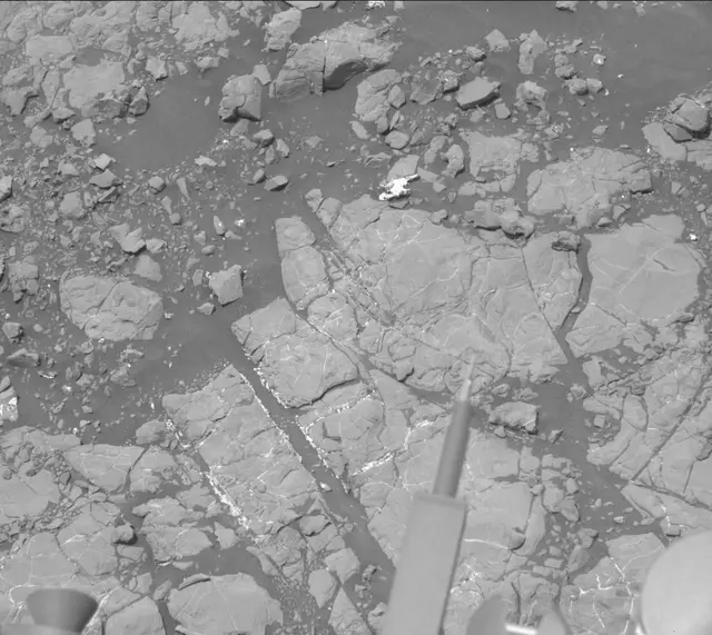 Sol 2009: Mast Camera (Mastcam)