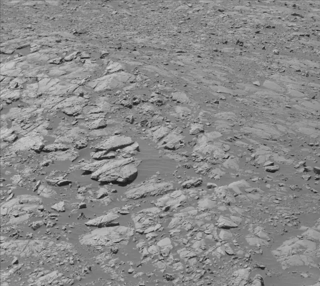 Sol 2009: Mast Camera (Mastcam)
