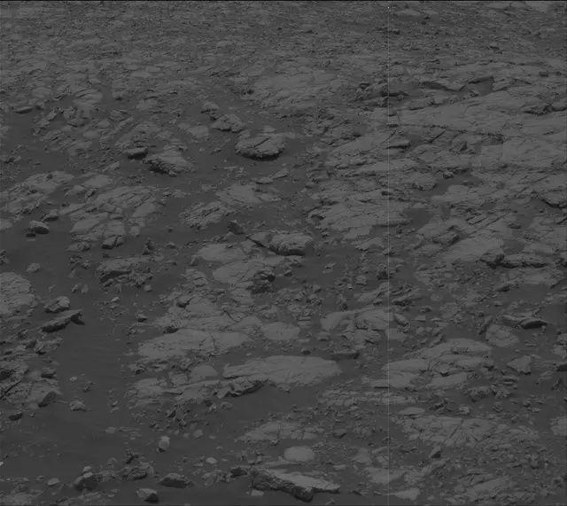 Sol 2009: Mast Camera (Mastcam)