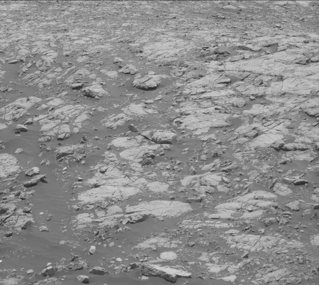Sol 2009: Mast Camera (Mastcam)
