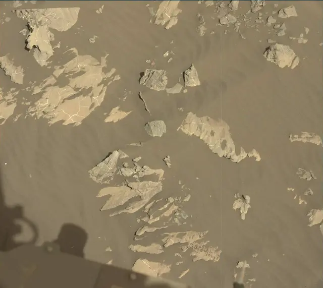 Sol 2009: Mast Camera (Mastcam)