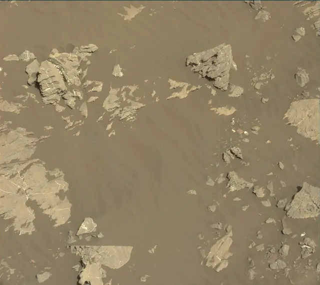 Sol 2009: Mast Camera (Mastcam)