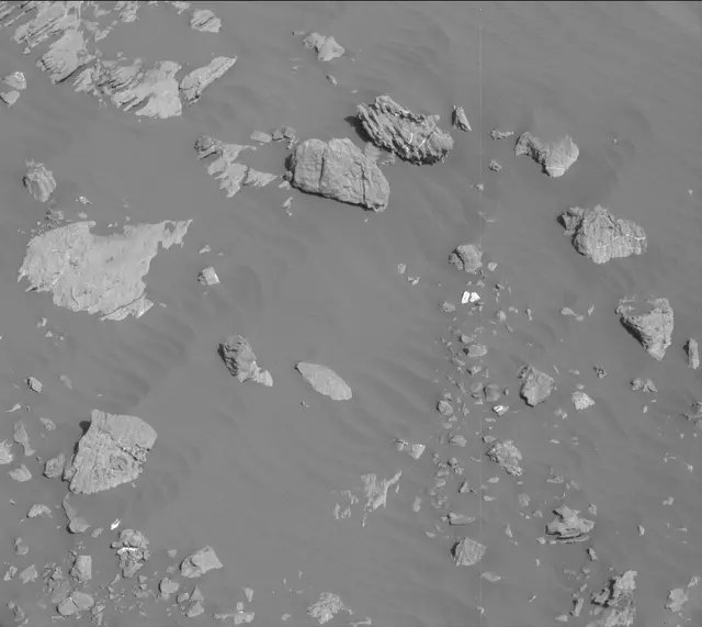 Sol 2009: Mast Camera (Mastcam)