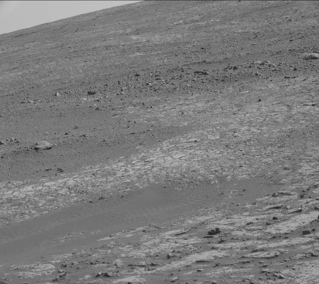 Sol 2009: Mast Camera (Mastcam)